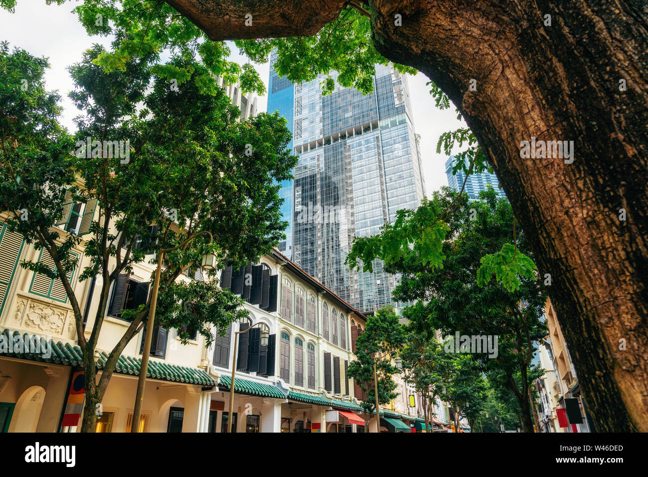Verde de los árboles en las calles con antiguos edificios coloniales contra la arquitectura moderna de cristal en Singapur. Foto de stock