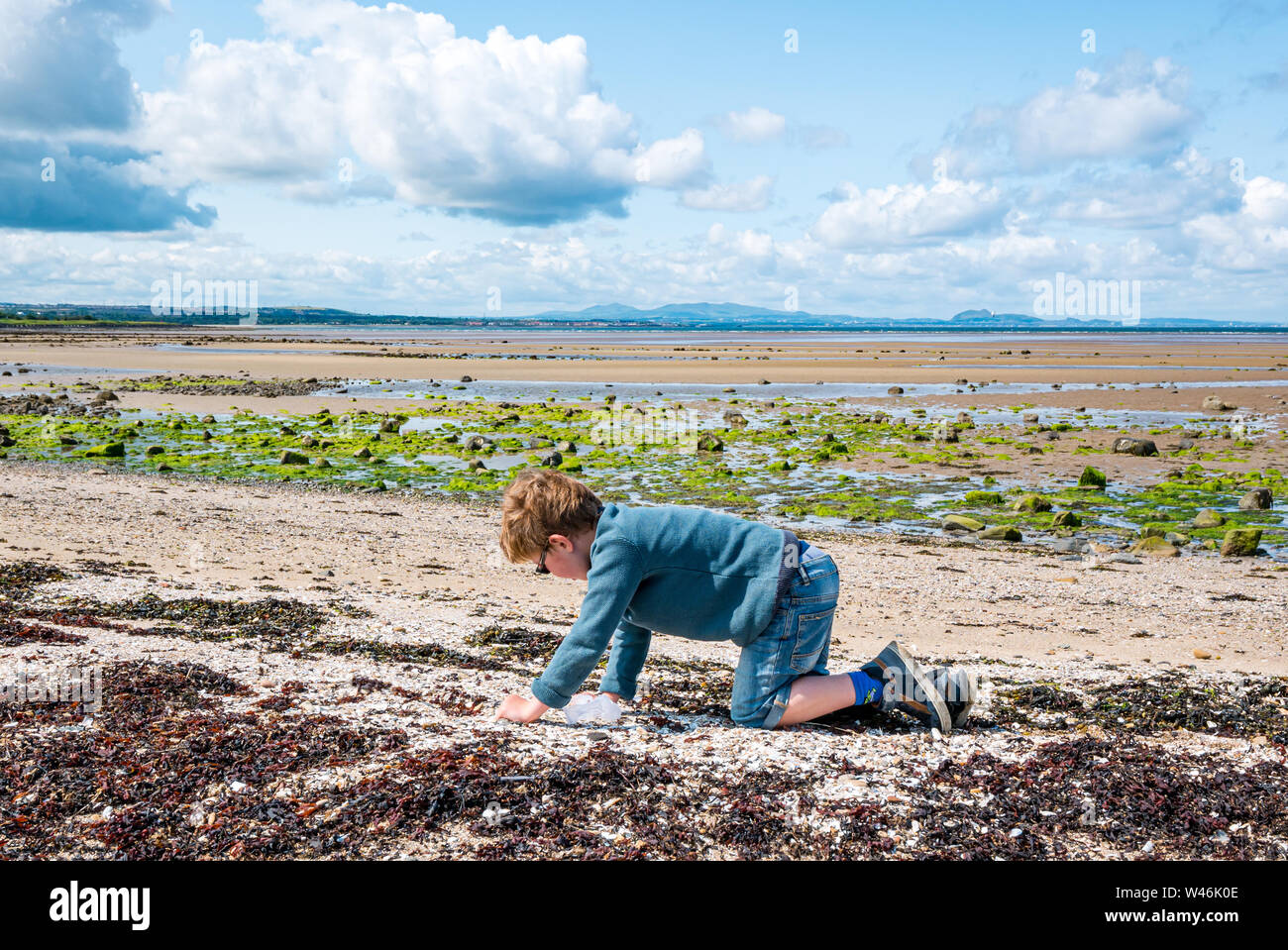 Niño de 8 años buscando conchas en la playa durante la marea baja en Sunshine, Firth of Forth, East Lothian, Escocia, Reino Unido Foto de stock