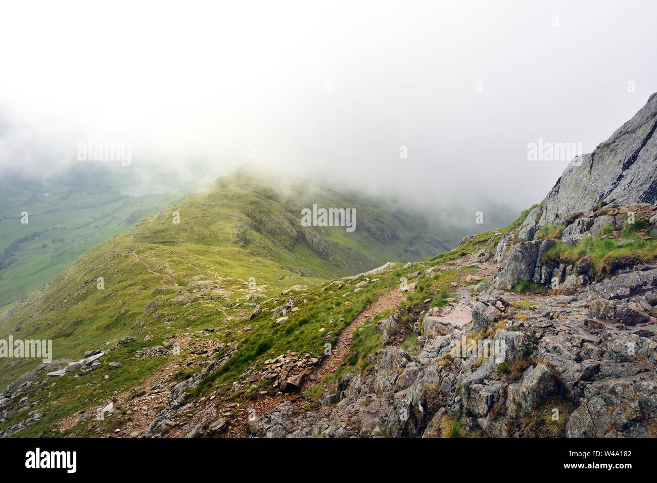 Aguachirle fotografías e imágenes de alta resolución - Página 10 - Alamy