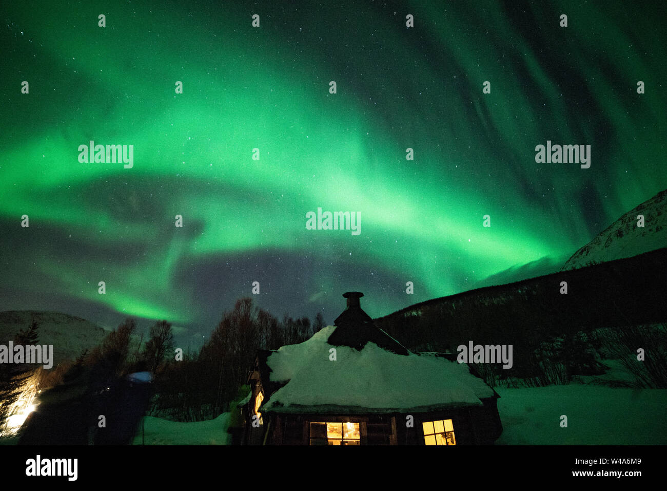 Aurora Borealis, wunderschöne Nordlichter, en Lyngenalps, Tromsö, Norwegen, Lakselvbukt, Noruega, bailando sobre las montañas, luces Foto de stock