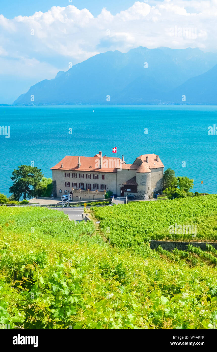 Imagen vertical de verdes viñedos en pendientes por el Lago Ginebra, en la región vinícola de Lavaux, en Suiza. Patrimonio de la UNESCO. Suiza verano. Los paisajes de Suiza. Turquesa del lago. Los viñedos en las terrazas. Foto de stock