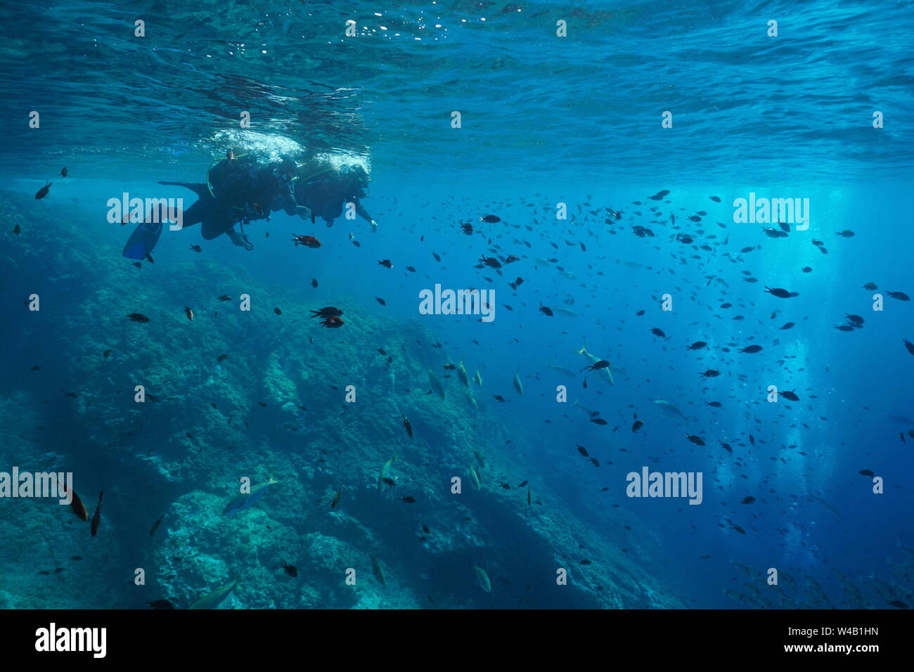 Mar Mediterráneo buceo, pareja de buceadores en la superficie del agua mirar cardumen de peces bajo el agua, Costa Brava, ESPAÑA Foto de stock