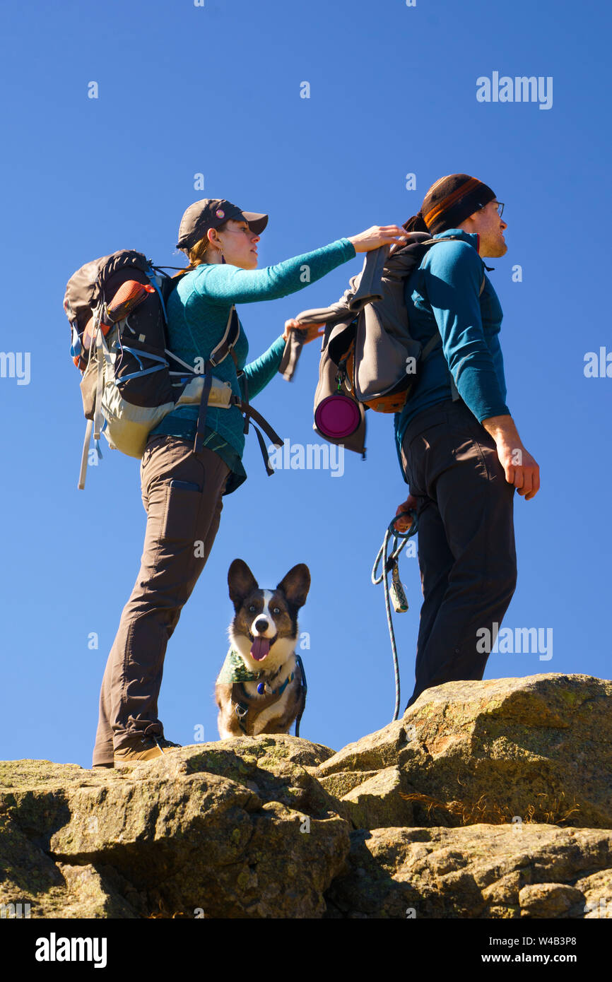 Senderismo par en la cima de una montaña con su Welsh Corgi Cardigan. Foto de stock