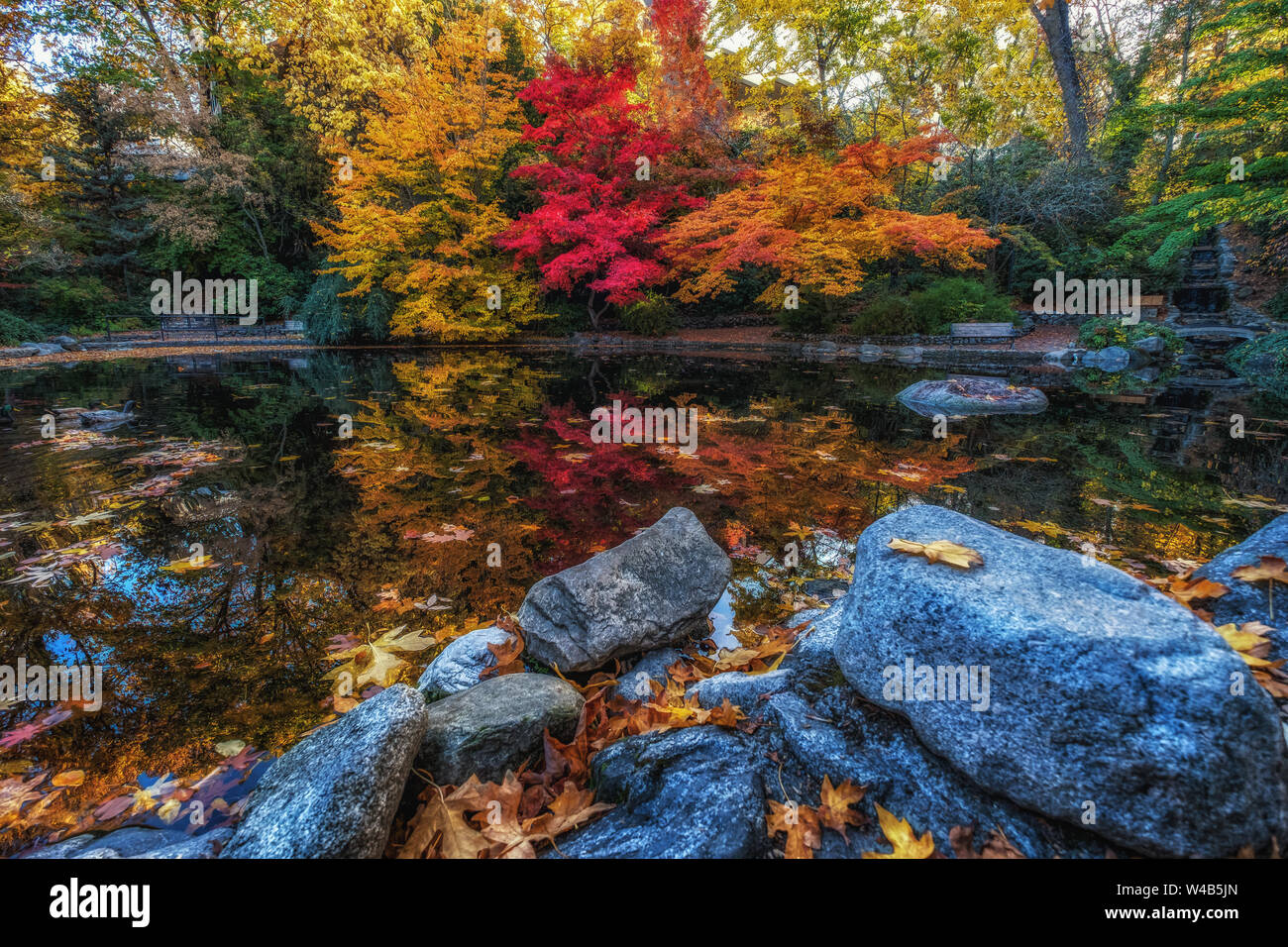 Reflexiones de otoño en Lithia Park Fotografía de stock - Alamy