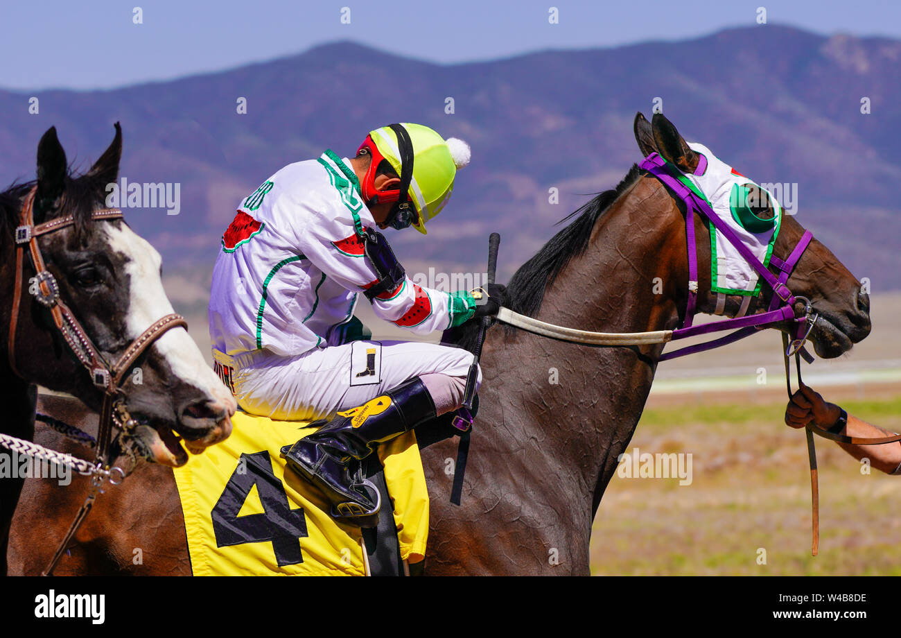 Puerta de salida de caballos de carrera fotografías e imágenes de alta  resolución - Alamy