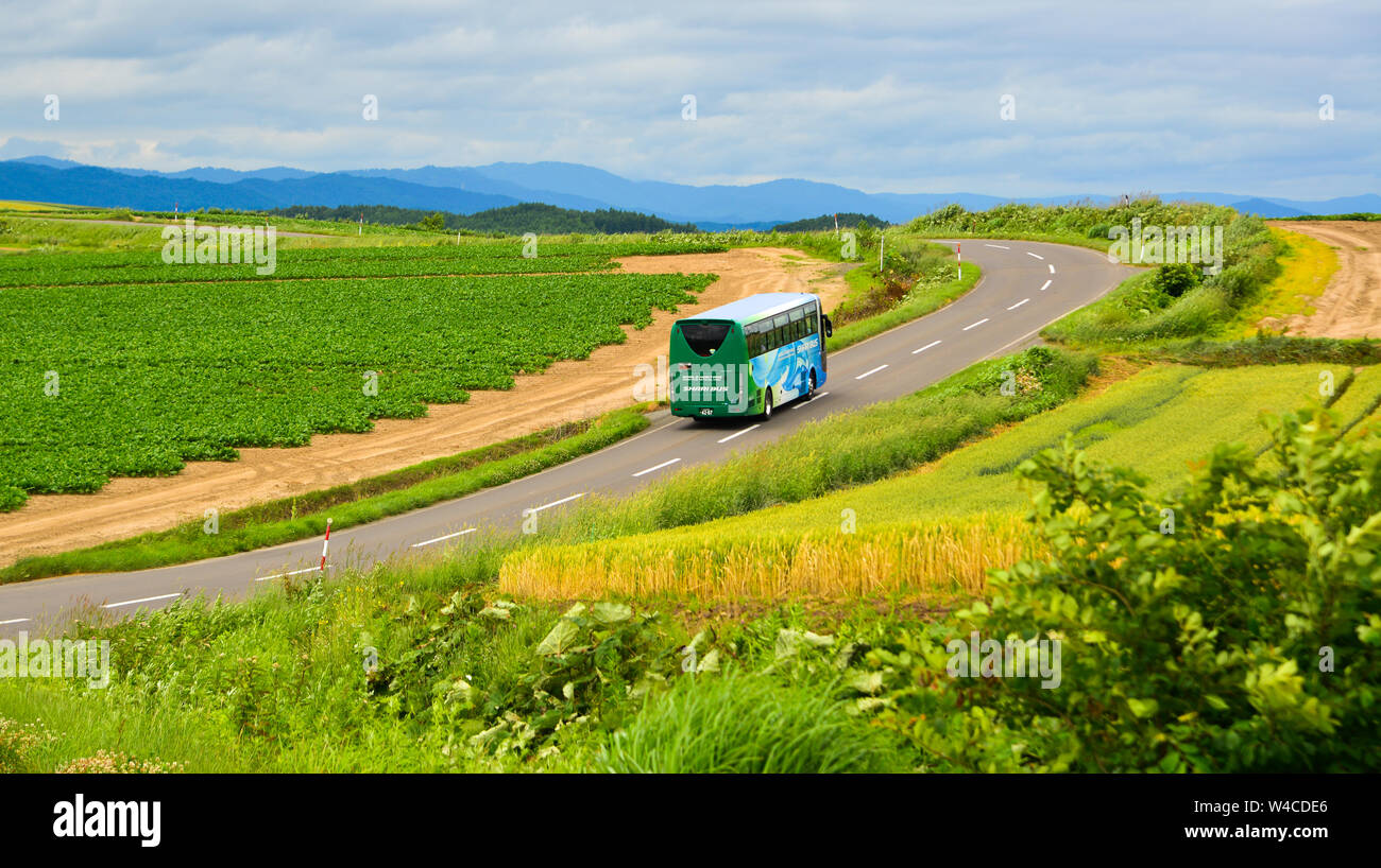 Furano, Japón - Jul 1, 2019. Un autobús escénico corriendo en carretera rural en día de verano en Furano Township, Hokkaido, Japón. Foto de stock