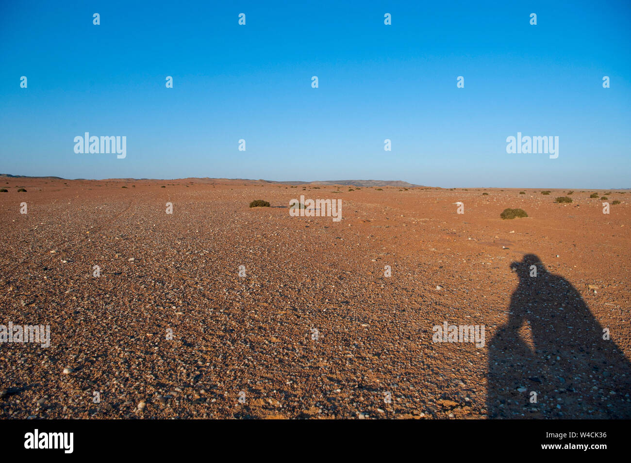 Duras del desierto de Namibia, Namibia luz sombra proyectada por el fotógrafo (Amós Gal RIP) en el suelo Foto de stock