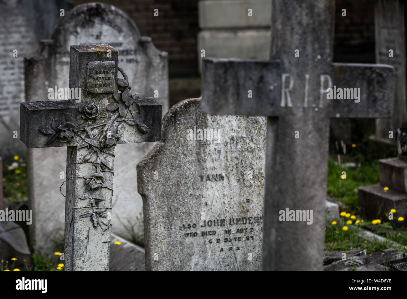 Cementerio Brompton Jornada de Puertas Abiertas. Uno de los 'Magnificent' siete cementerios en Londres, Inglaterra, Reino Unido. Foto de stock