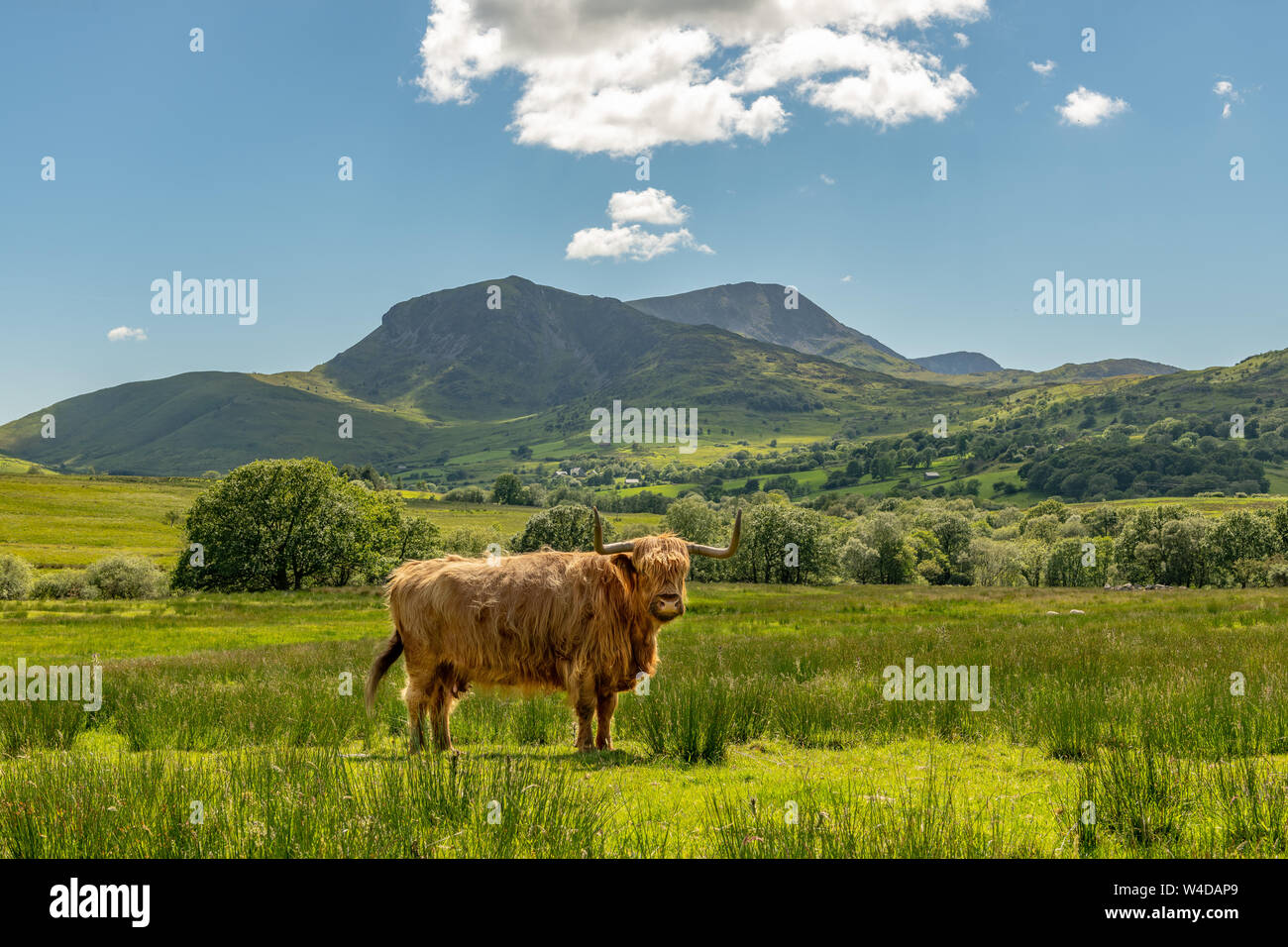 Cadair Idris Foto de stock