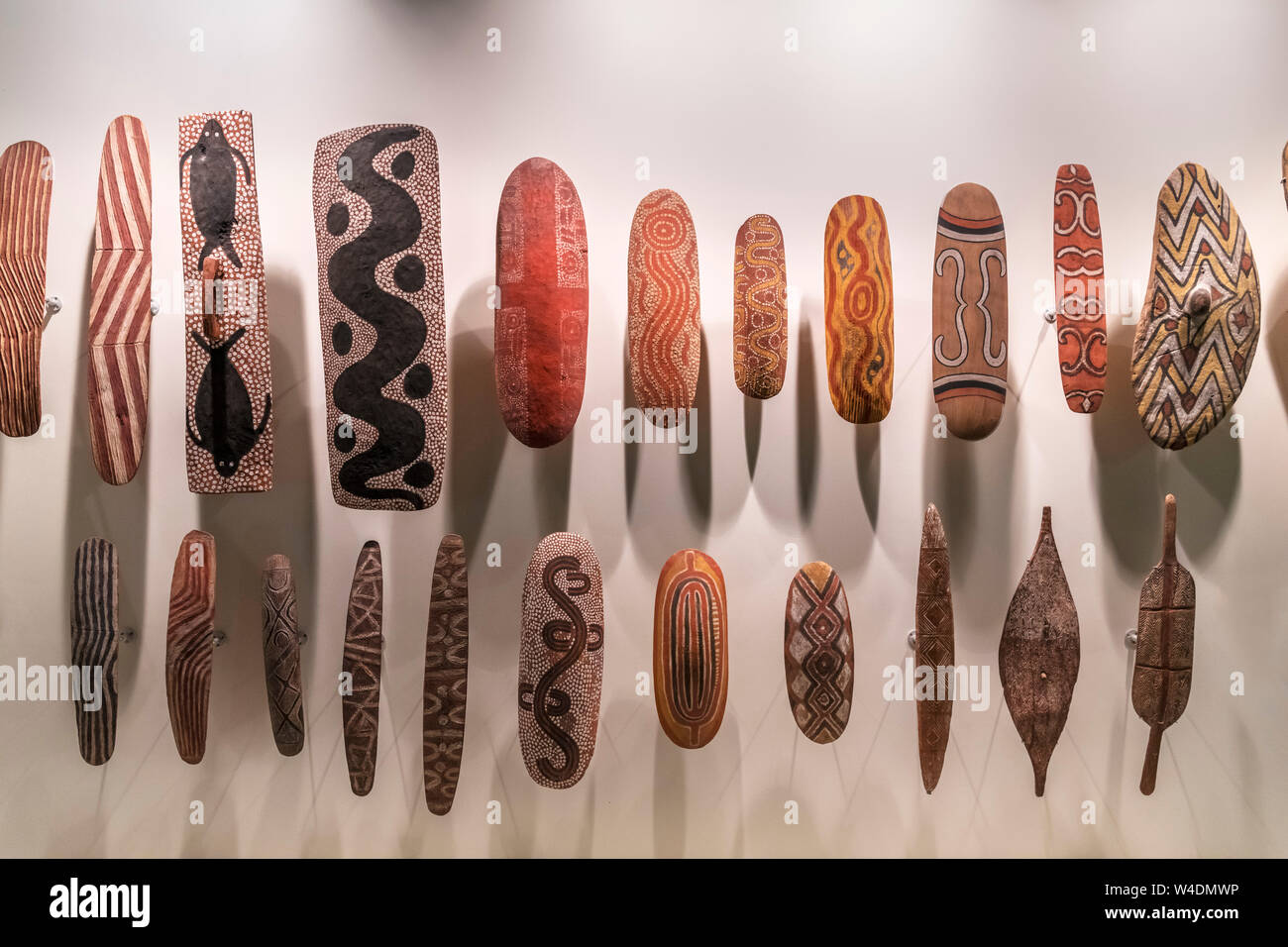 Escudos de aborígenes en exhibición en el Museo de Australia del Sur, Adelaide, Australia Meridional, Australia Foto de stock