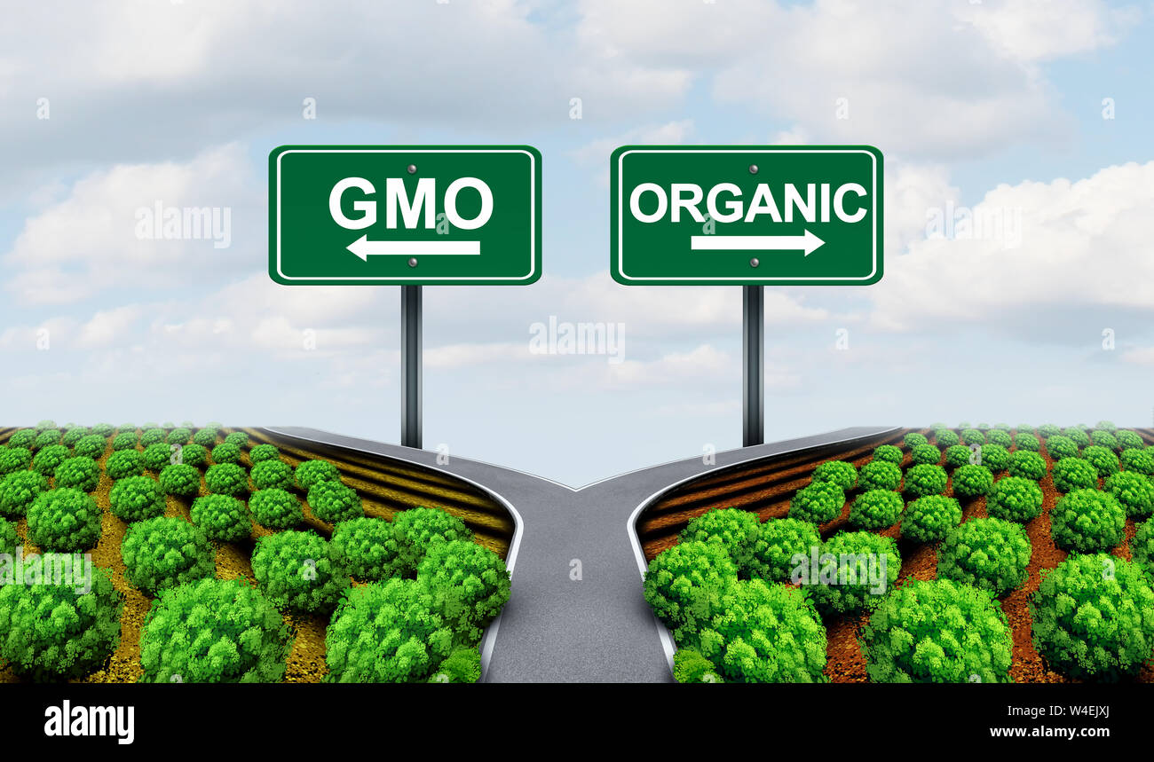 Omg y la agricultura orgánica bio agrícola concepto como un eco cultivos alimentarios genéticamente modificados y el cultivo de plantas naturales con elementos de ilustración 3D. Foto de stock