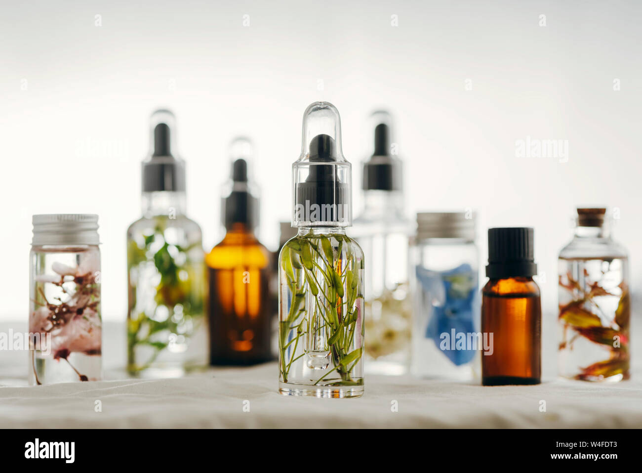 Botellas transparentes de aceite esencial con hierbas frescas y flores, tratamiento natural para masajes, aromaterapia o spa. Los medicamentos naturales Foto de stock