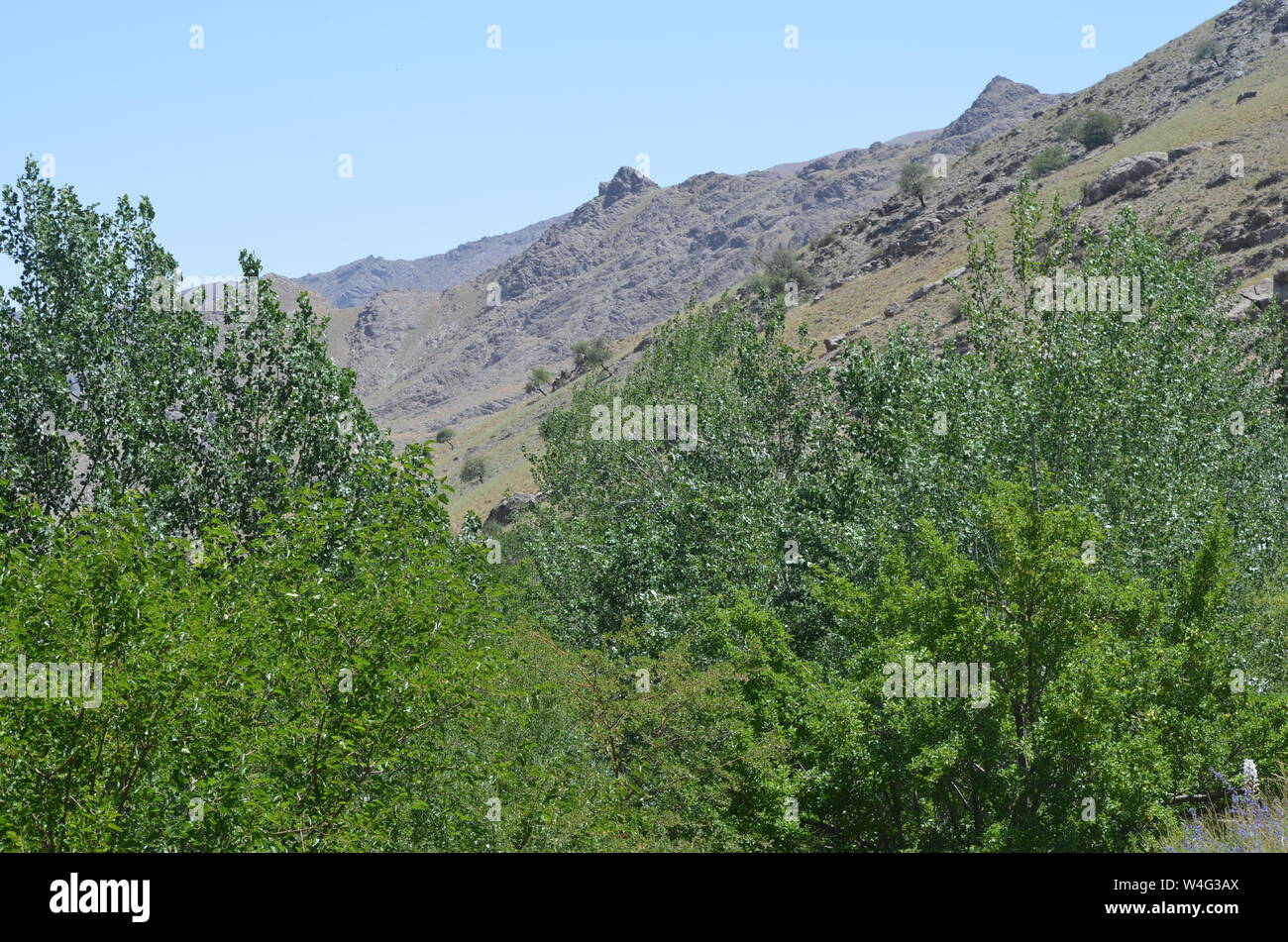 Hayat aldea en las montañas de Nurata, Central de Uzbekistán Foto de stock