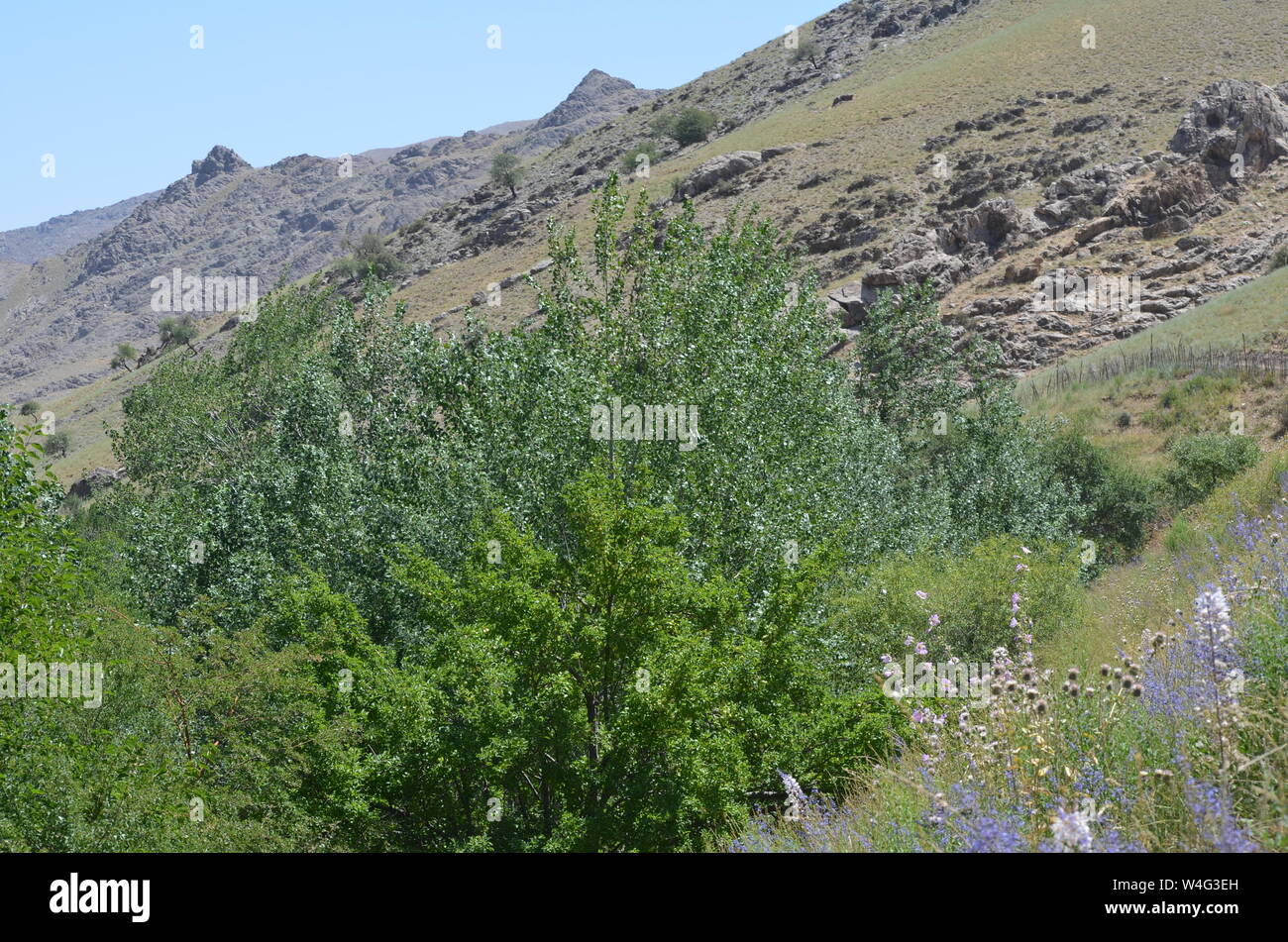 Hayat aldea en las montañas de Nurata, Central de Uzbekistán Foto de stock