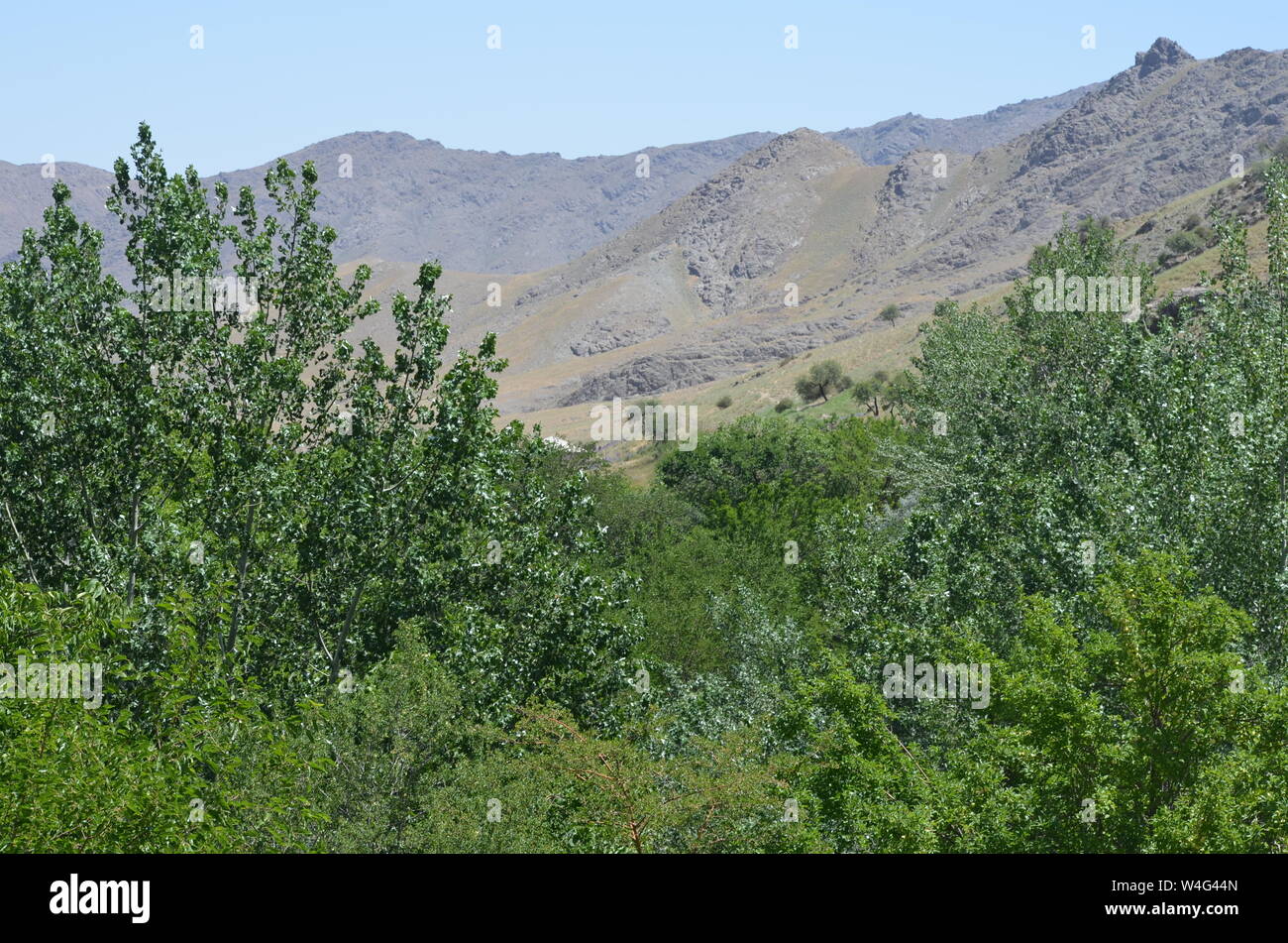 Hayat aldea en las montañas de Nurata, Central de Uzbekistán Foto de stock