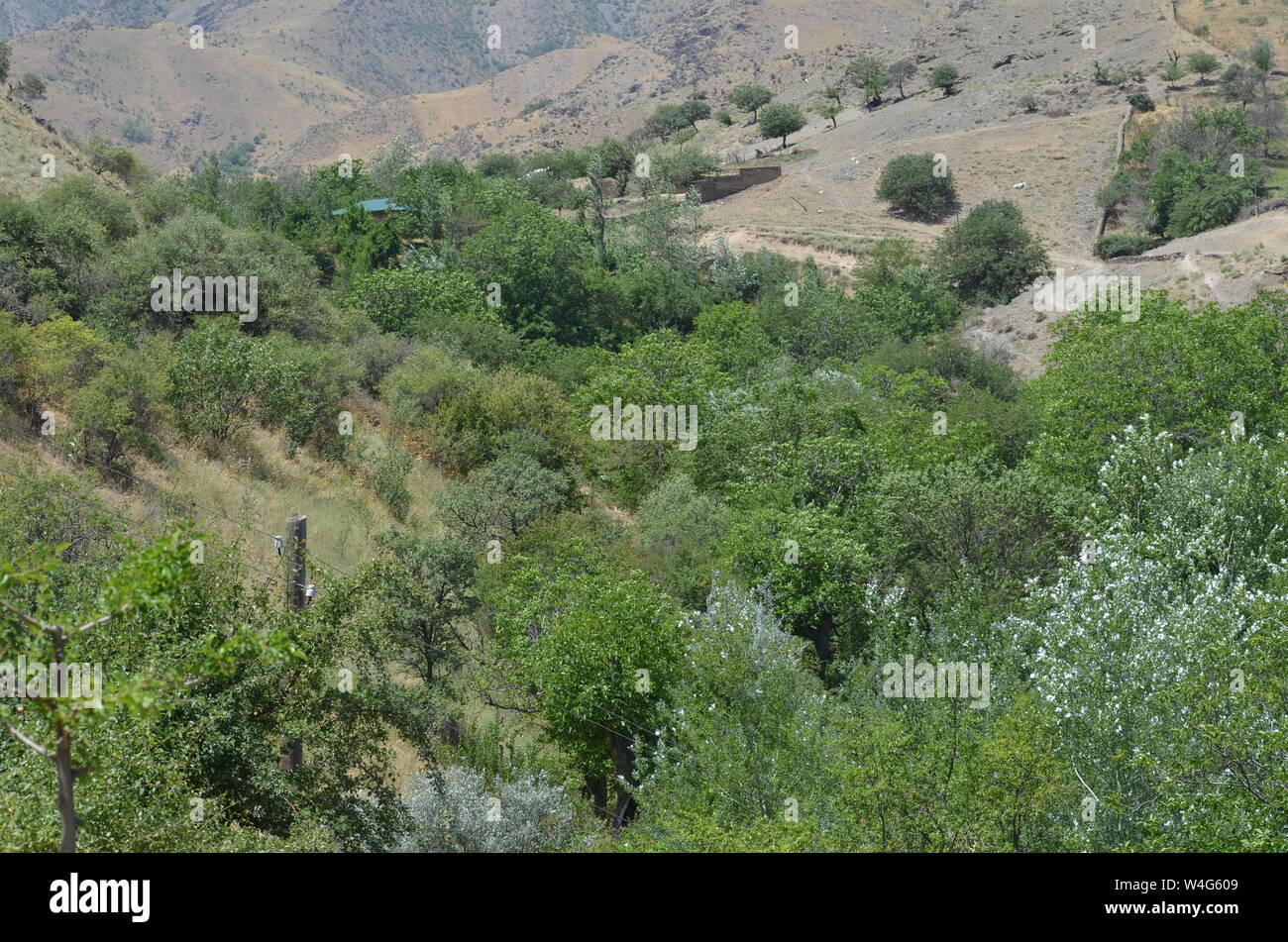 Hayat aldea en las montañas de Nurata, Central de Uzbekistán Foto de stock