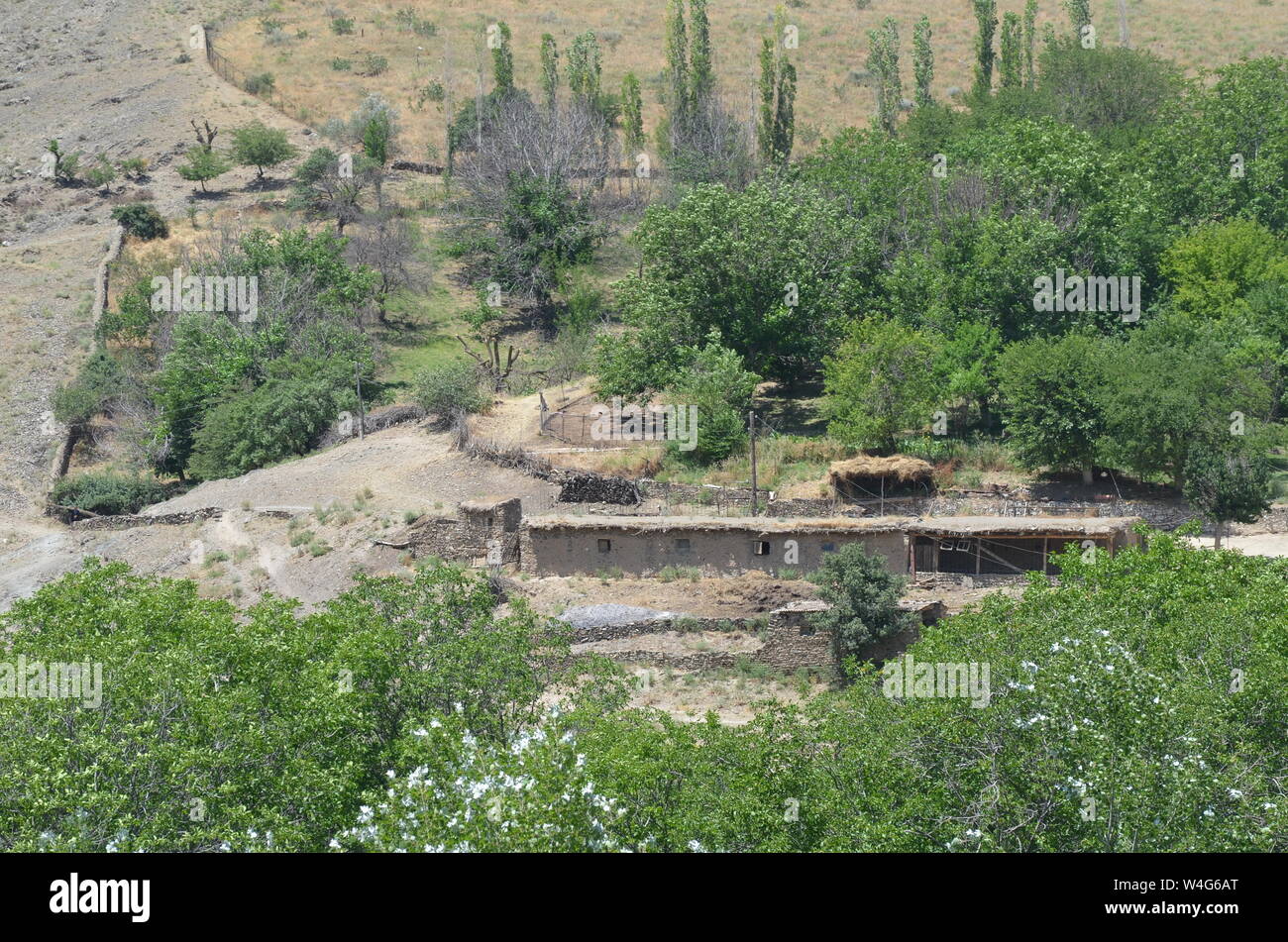 Hayat aldea en las montañas de Nurata, Central de Uzbekistán Foto de stock