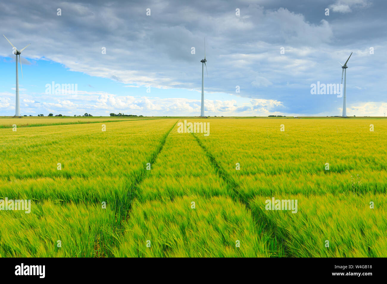 Molinos de viento en un paisaje agrícola produciendo energía limpia y verde para un mundo sostenible con trigo que crecen en los campos de verano Foto de stock