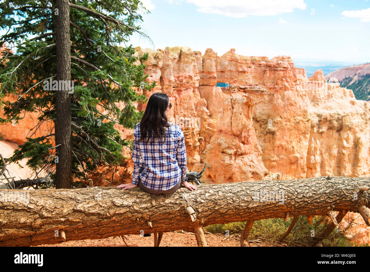 Viajero mujer sentada sobre el tronco de un árbol caído disfrutando la vista en Bryce Canyon, Utah, EE.UU. Foto de stock