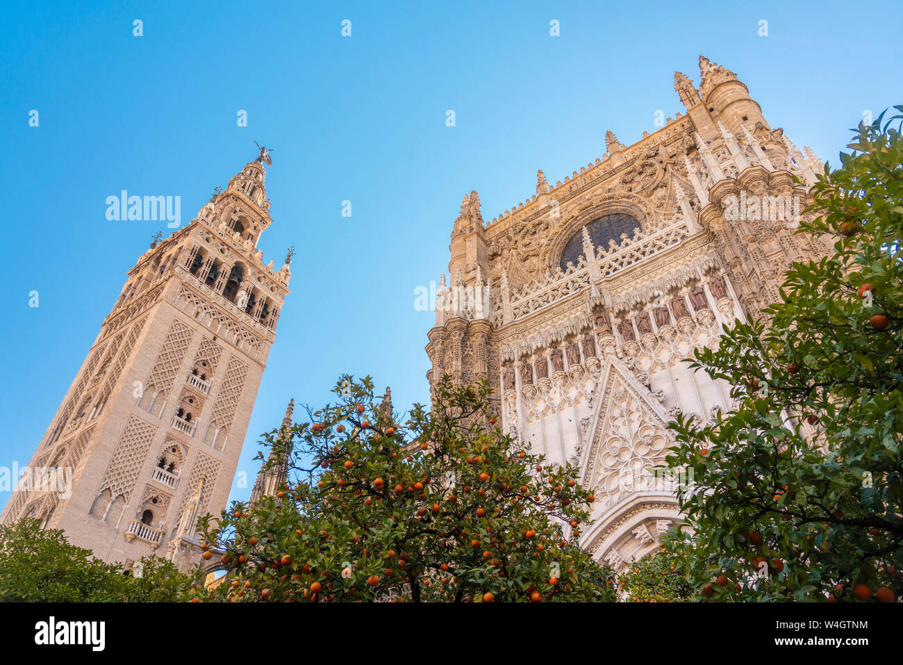 Catedral de Sevilla y la Giralda, Sevilla, España Foto de stock