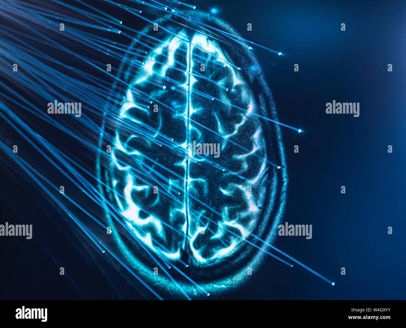 La inteligencia artificial, la fibra óptica transporta datos pasando en el cerebro Foto de stock