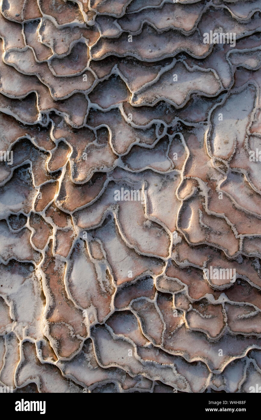 Turquía: detalles de las terrazas de travertino en Pamukkale (Castillo de algodón), sitio natural de las rocas sedimentarias depositadas por el agua de las fuentes termales Foto de stock