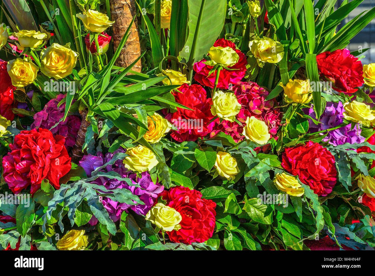 Brillante fiesta gozosa multicolor fondo floral de rojo peonías, rosas amarillas y púrpura hydrangea con hojas verdes. Sentimiento, expresando placer Foto de stock