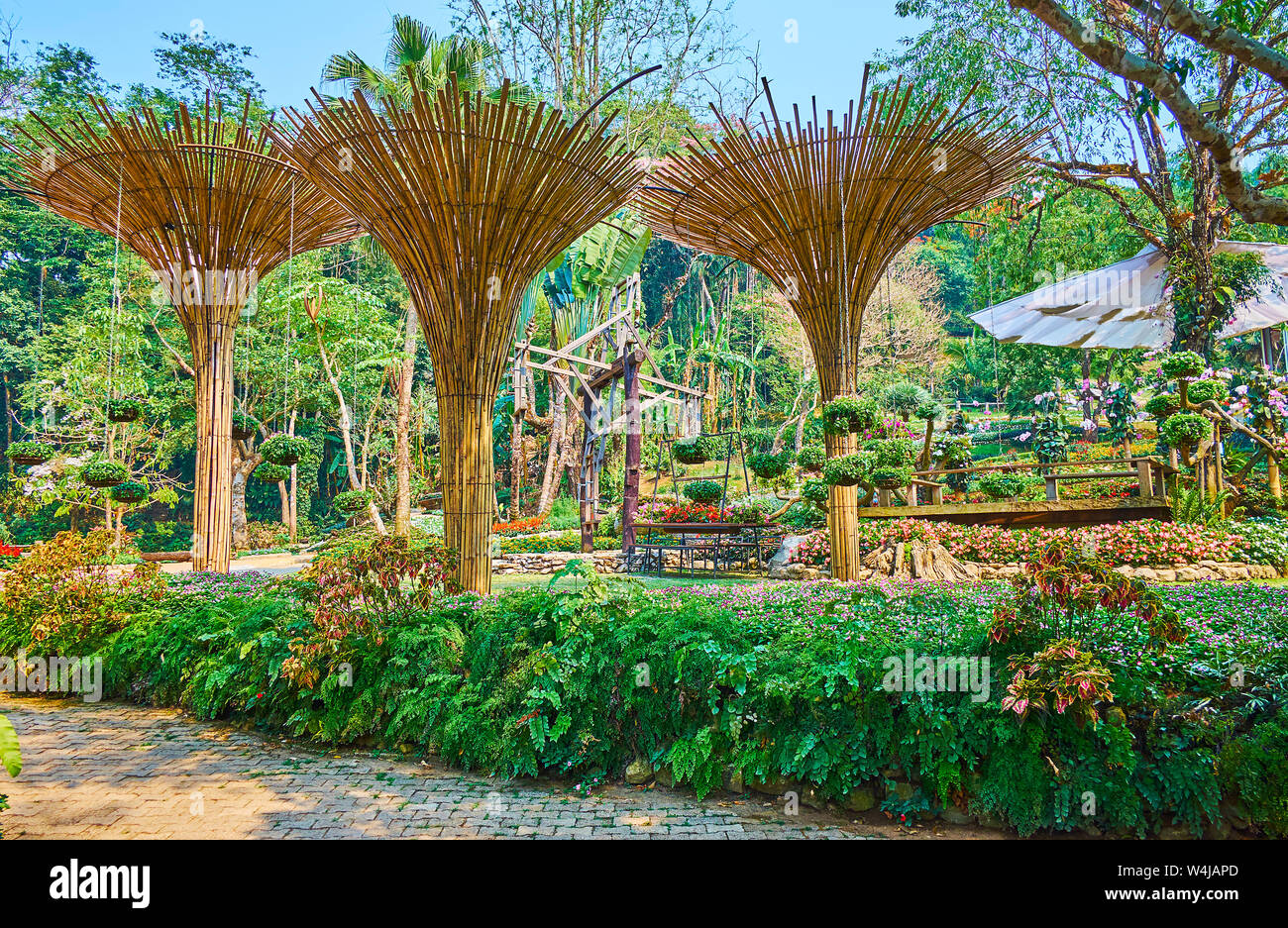 La callejuela verde de Mae Fah Luang jardín está decorado con helecho valla, cortado árboles y bambú sombrillas con plantas macetas colgantes, Doi Tung, TA Fotografía de stock - Alamy