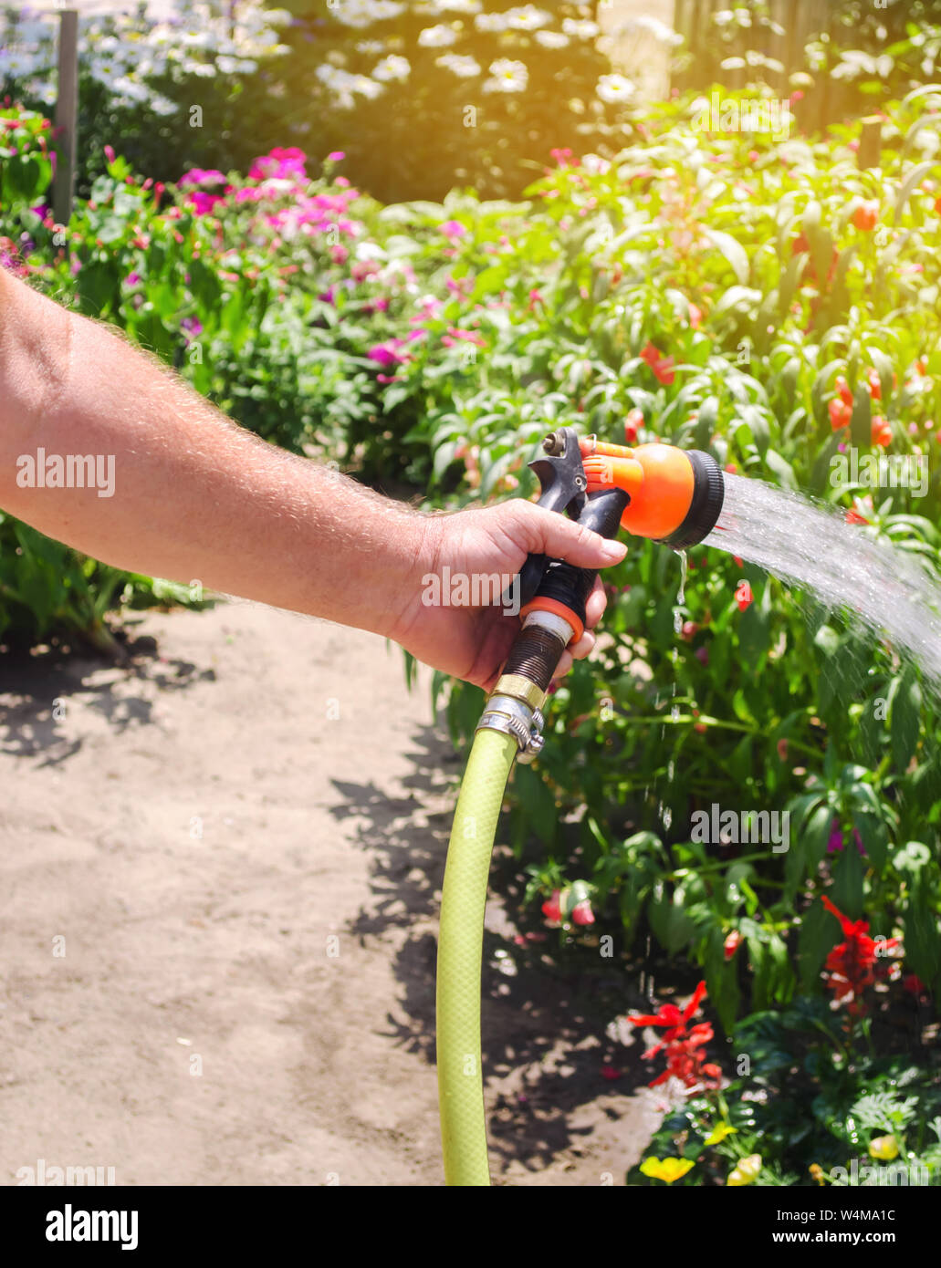 Un jardinero con una manguera de riego y un pulverizador agua las flores en  el jardín en un día soleado de verano. Manguera de rociadores para el riego  de plantas. Jardinería Fotografía