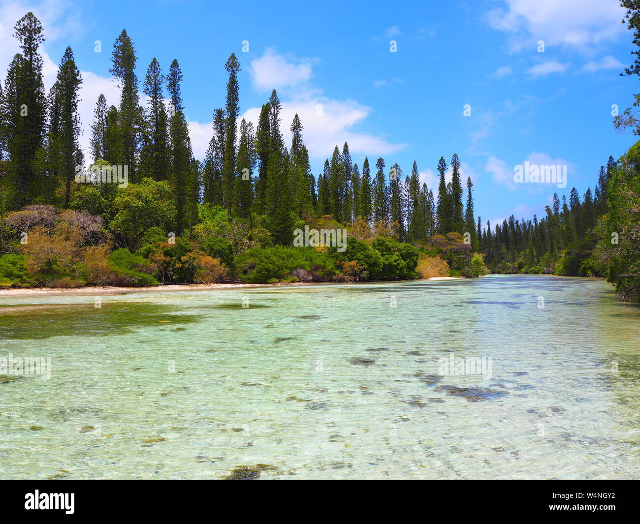 Increíble Piscine Naturelle en la Ile des Pins Foto de stock