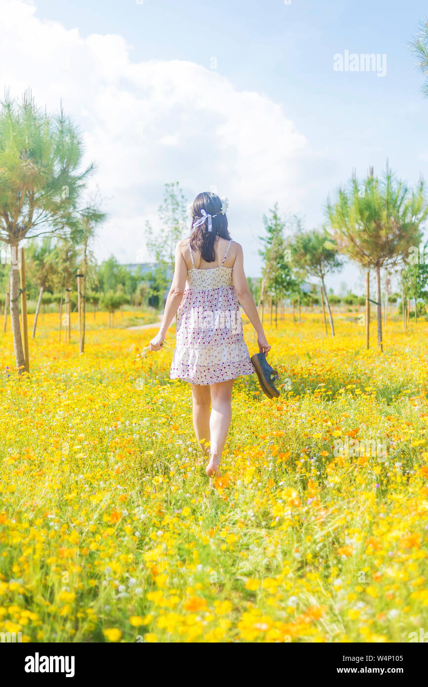 Vista trasera de una mujer hermosa en el vestido caminando por un campo de flores que llevan sus zapatos Foto de stock