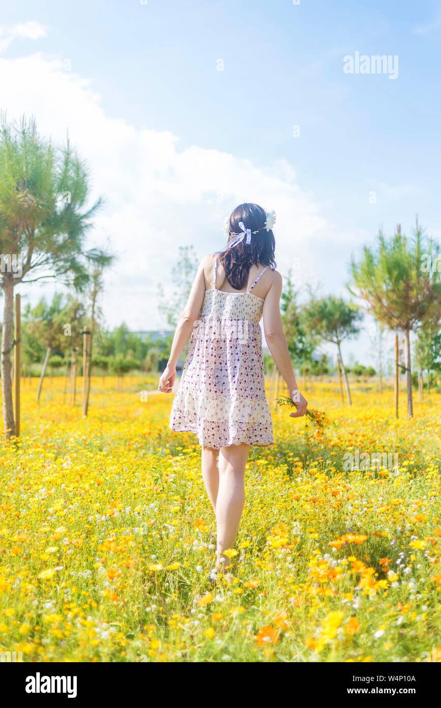 Vista trasera de una mujer hermosa en el vestido caminando por un campo de flores que llevan sus zapatos Foto de stock
