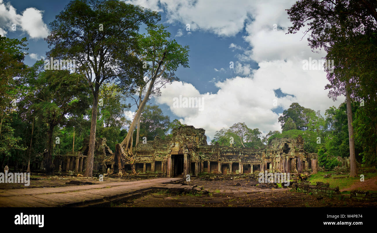 Antiguas ruinas, rodeada de árboles. Foto de stock