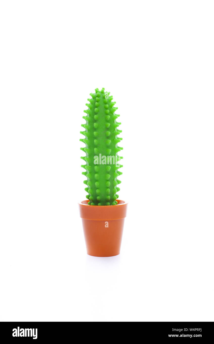 Cactus de plastico Imágenes recortadas de stock - Alamy