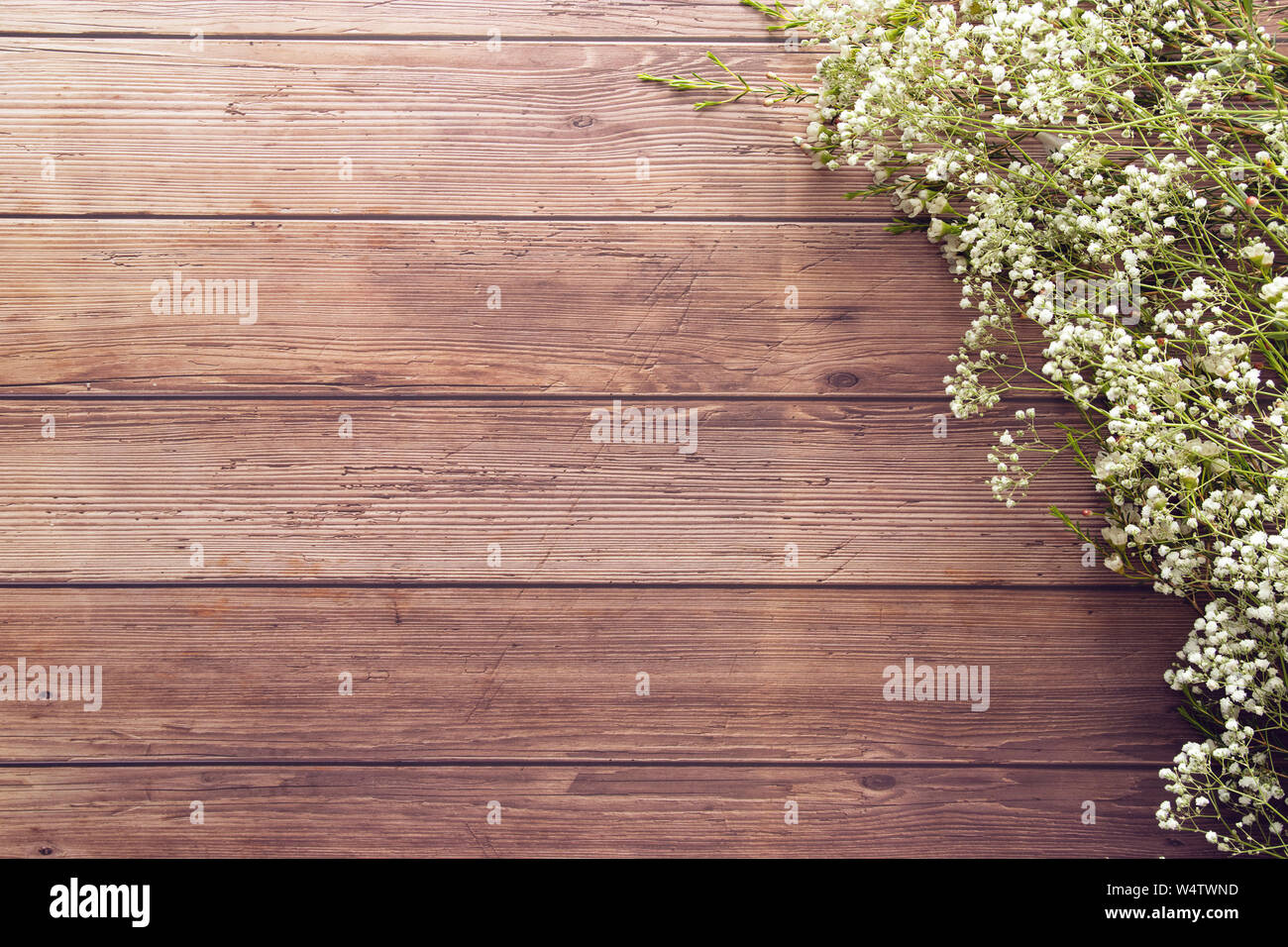 Plano del jardín laicos diminutas flores blancas de primavera sobre el fondo de la tabla de plancha de madera con copia espacio, estilo retro de color Foto de stock