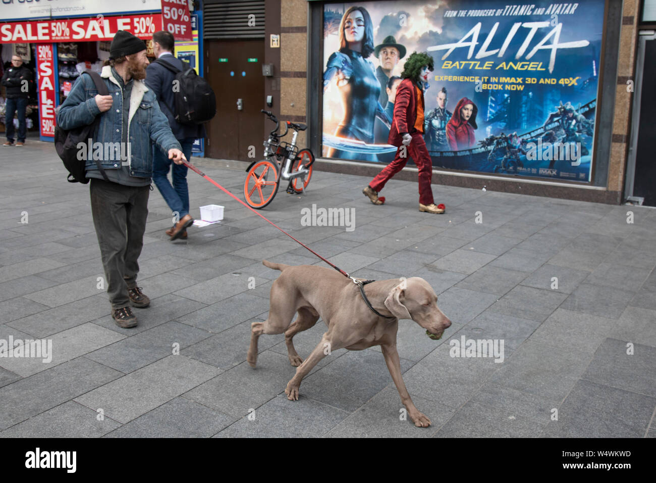 Hombre disfrazado de Joker tipo character con dientes podridos, tallos  alrededor de Leicester Square asustar a los transeúntes como un hombre  camina con su perro Weimaraner pasado en Londres, Reino Unido Fotografía