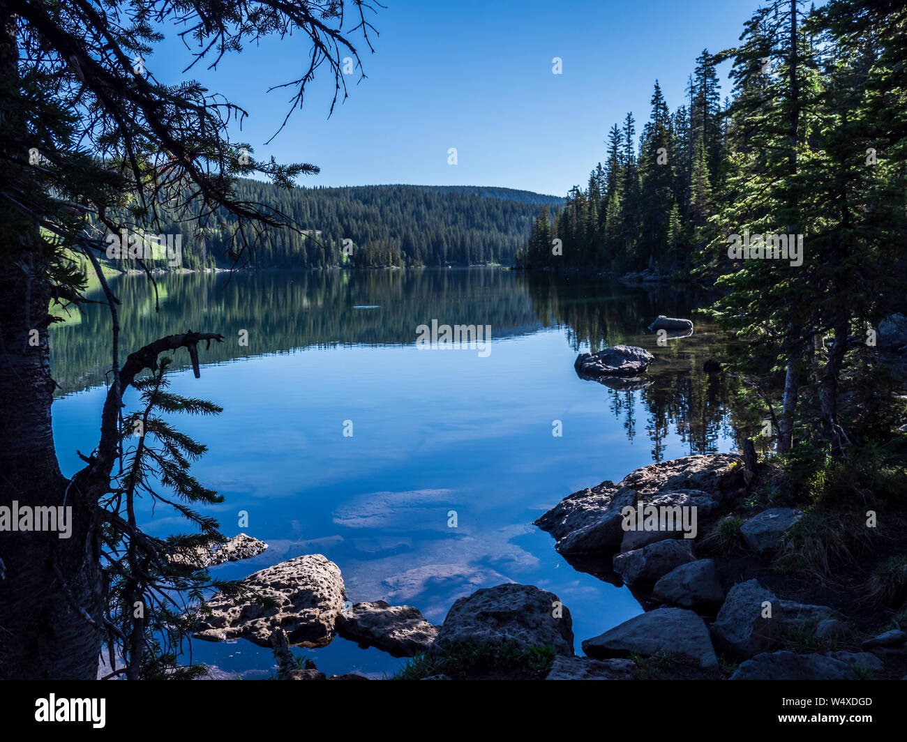 Lago, Isla Grand Mesa National Forest, Colorado Fotografía de stock -