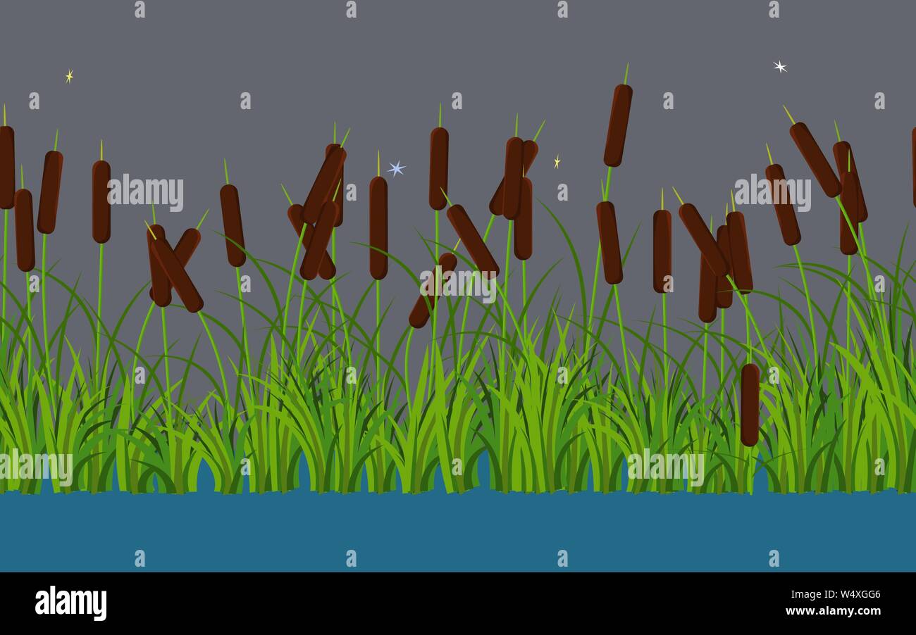 Vector reed Tallos vegetales con hojas de estilo en la noche y la hierba en el agua de ríos y lagos. Patrón sin fisuras en el fondo estilo oscuro Ilustración del Vector