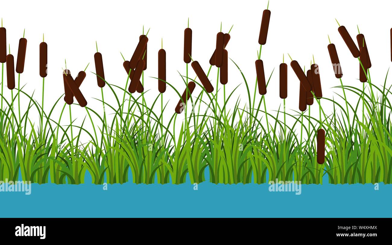 Vector reed tallos de plantas con las hojas y la hierba en el agua de ríos y lagos. Patrón sin fisuras sobre fondo blanco. Ilustración del Vector