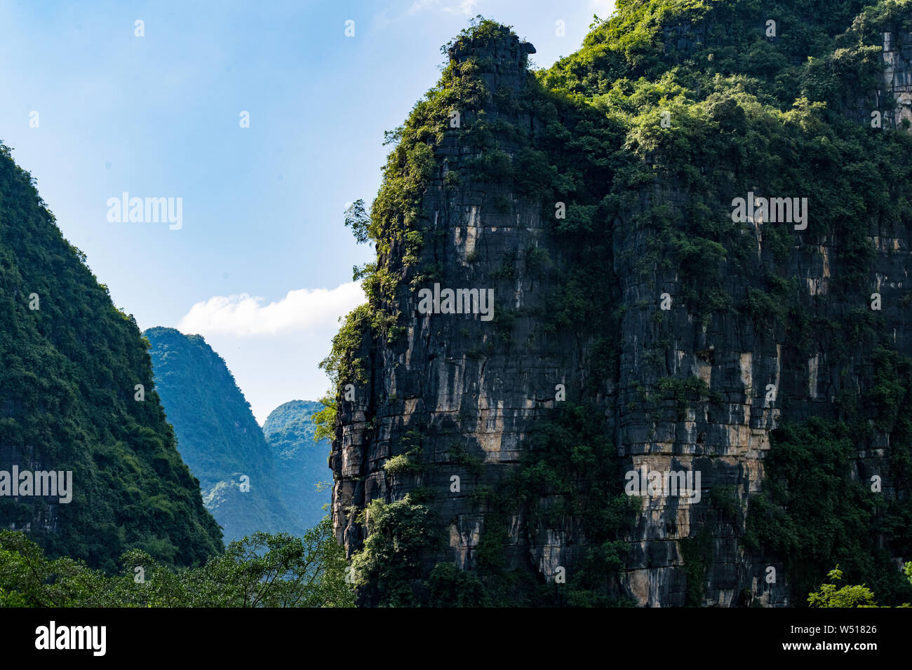 Karst forestal china guilin día Foto de stock