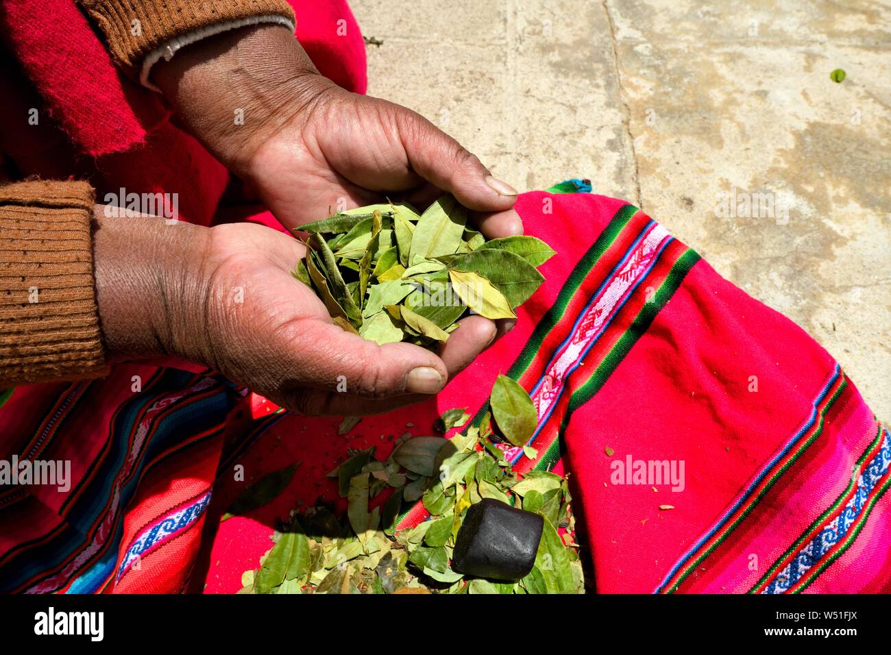 Mujer aymara con hojas de coca (Erythroxylum coca) en sus manos, el