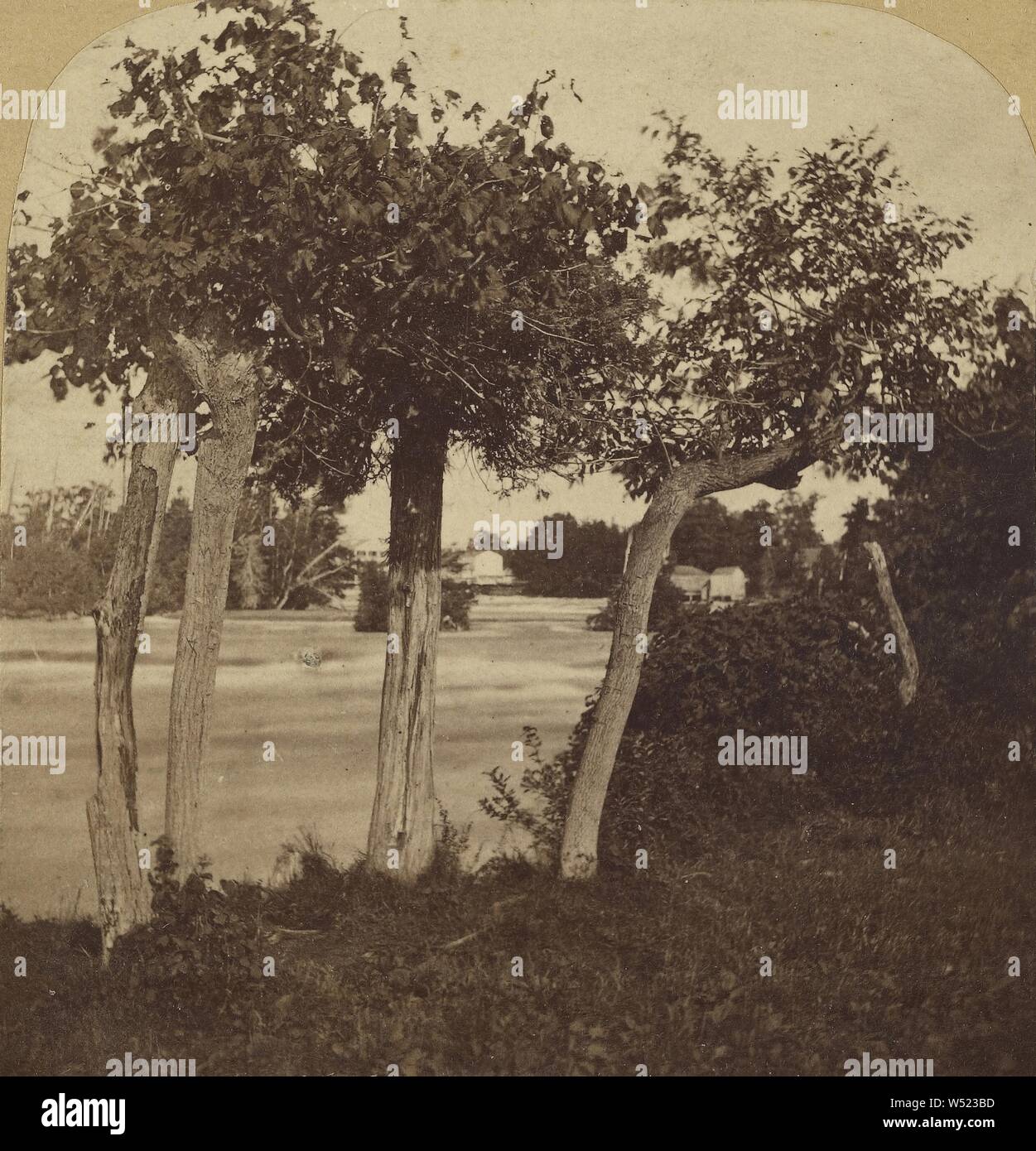 Luna Island, Niagara, Deloss Barnum (American, 1825 - 1873), alrededor de 1860-1865, albúmina imprimir plata Foto de stock