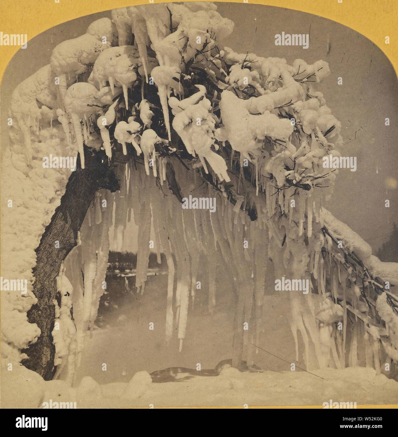 Árbol de hielo, Luna Island, Niagara en invierno., fabricante desconocido, canadienses, alrededor de 1870, albúmina imprimir plata Foto de stock
