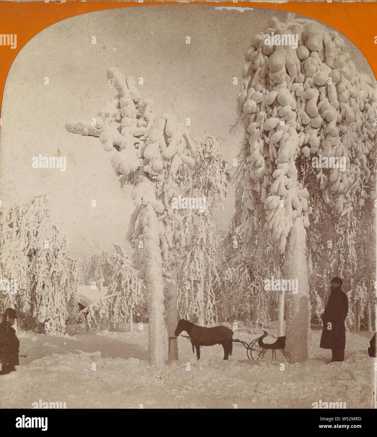 Un escenario inigualable (Prospect Park), Niagara Falls, N.Y., EE.UU., B. L. Singley (American, 1864), 1893, albúmina imprimir plata Foto de stock