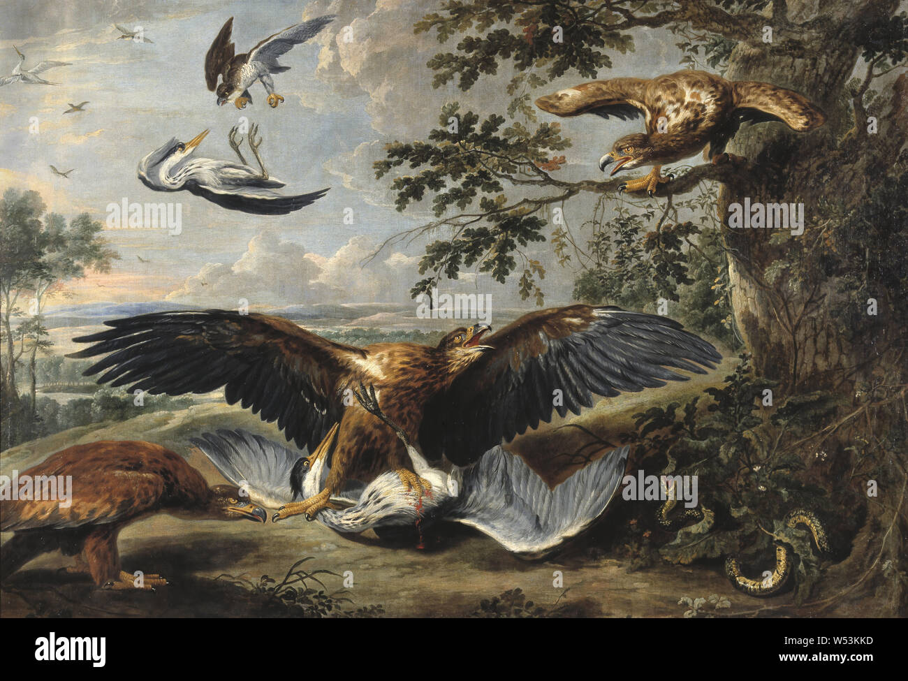Taller de Pieter Boel, lucha entre Águilas, Batalla entre águilas, óleo  sobre lienzo, altura 164 cm (64,5 pulgadas), Ancho 235 cm (92,5 pulgadas  Fotografía de stock - Alamy