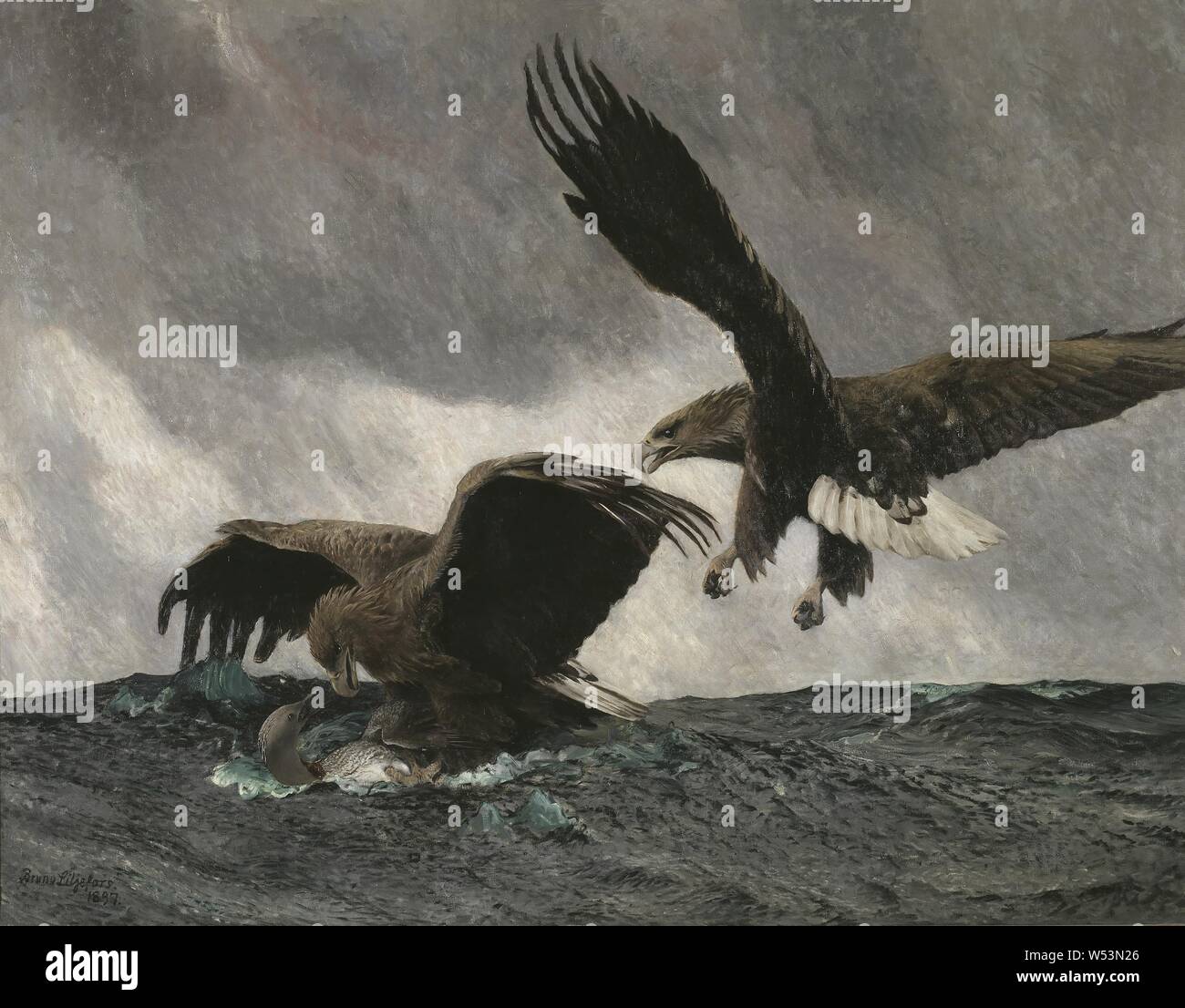 Bruno Liljefors, mar águilas reales, águilas de Mar, pintura, pintura de  animales, 1897, óleo sobre lienzo, altura 182 cm (71,6 pulgadas), Ancho 240  cm (94,4 pulgadas), firmado 1897th Fotografía de stock - Alamy