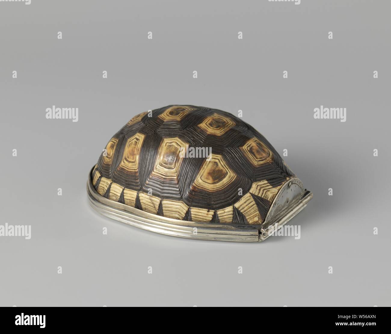 Escudo de tortuga fotografías e imágenes de alta resolución - Alamy