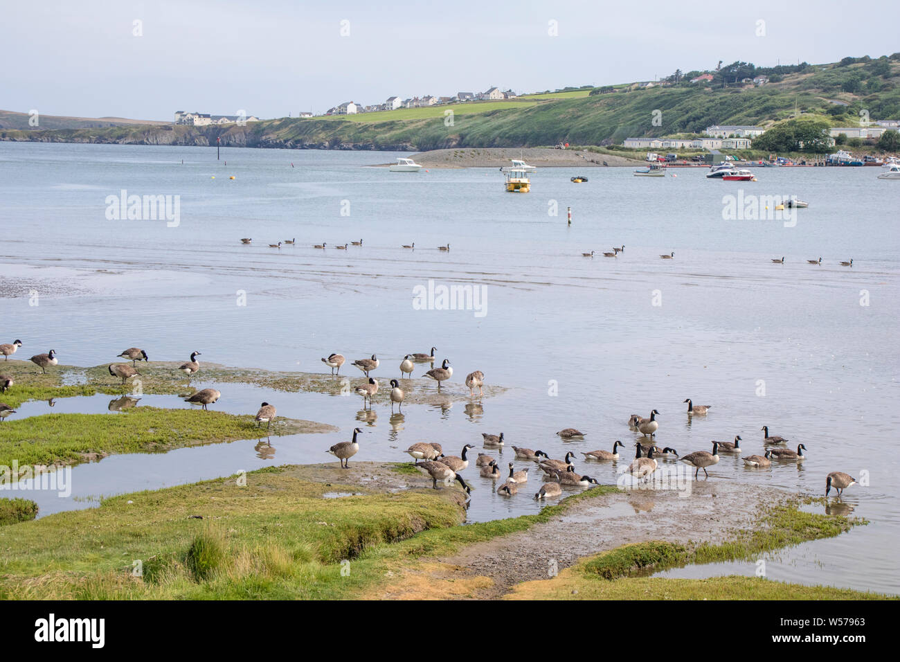 Mirando a través de la ría de Teifi entre Cardigan y Poppit Sands, Ceredigion, Gales, Reino Unido Foto de stock