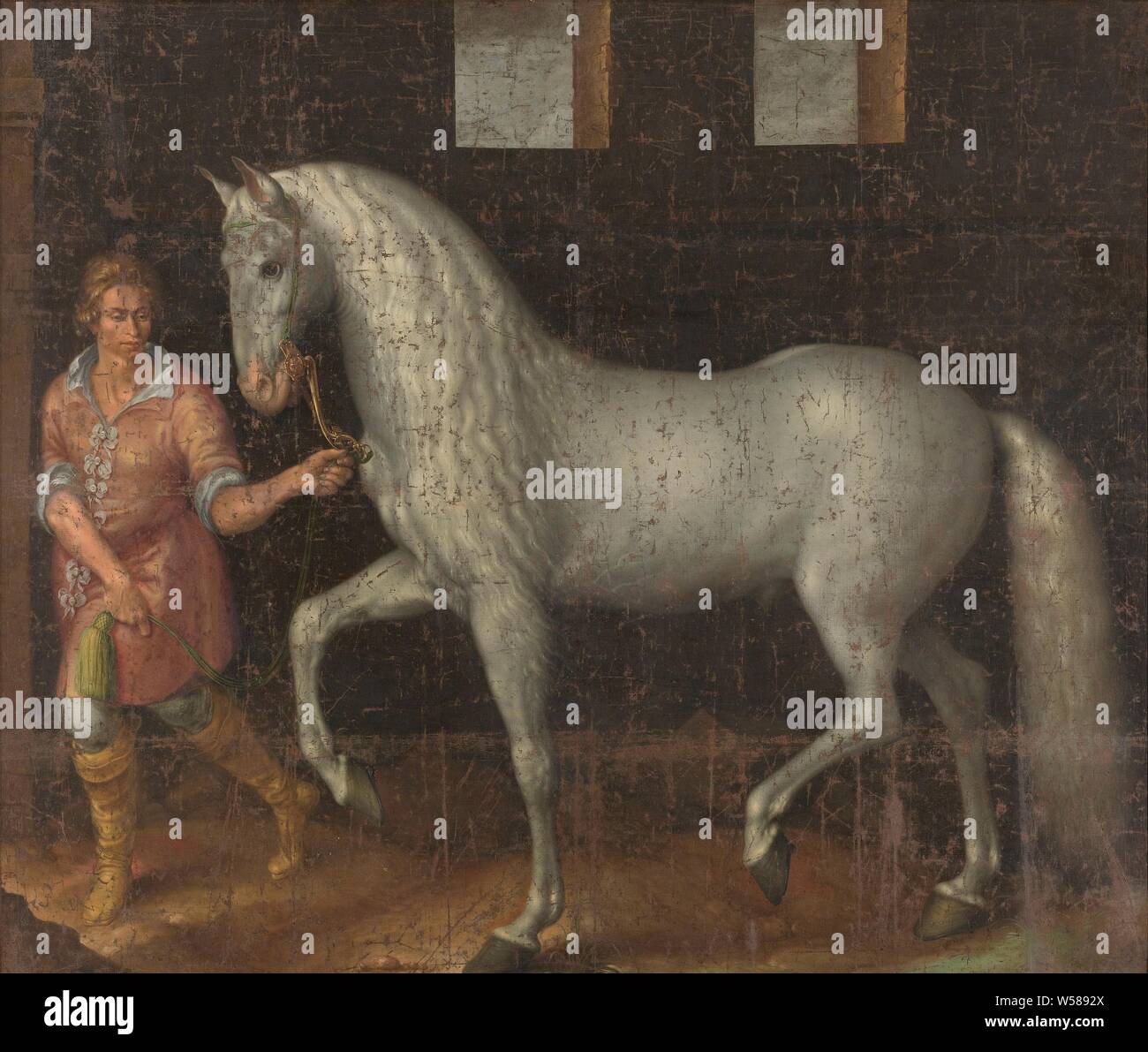 Caballo de guerra blanco presentado fotografías e imágenes de alta