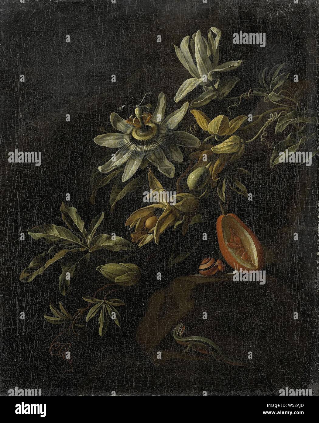 Bodegón con pasionarias, bodegón con pasión flores y fruta de la pasión, incluyendo un lagarto y caracol., Elias van den Broeck, 1670 - 1708, lienzo, pintura de aceite (pintura), h 41,5 cm × W 33,5 cm d 7,5 cm. Foto de stock